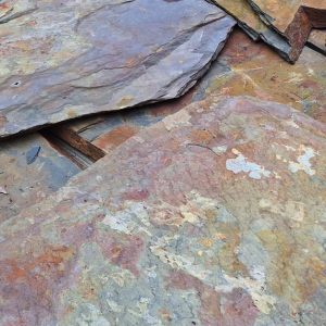 08BCBC76-008C-4ACF-A600-8AE12EADD1D8