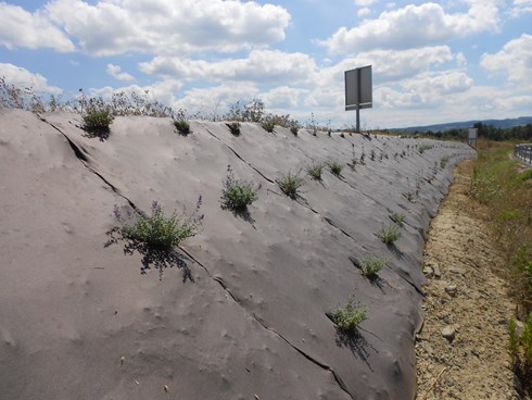 RootBarrier® Biologisch afbreekbaar worteldoek® 157 g/m² 25 mtr 100cm x 30cm