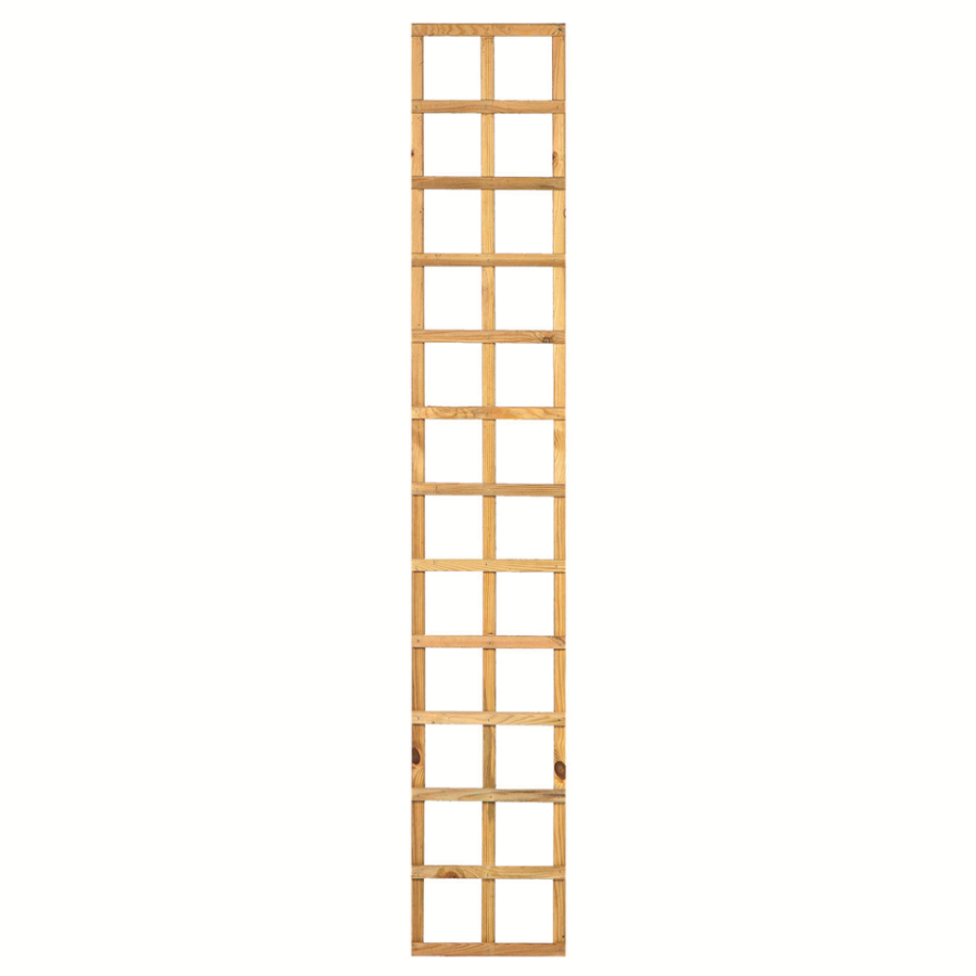 Trellis recht B30xH180cm