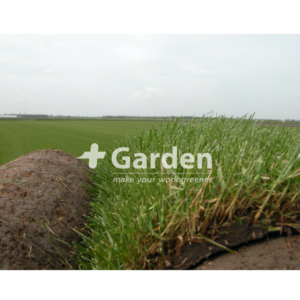 +Garden Graszoden Premium