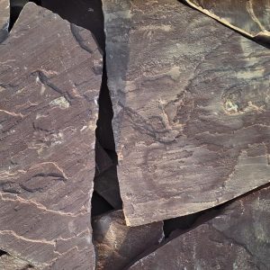 30F983D9-747B-4EF3-8D5A-316751E23025