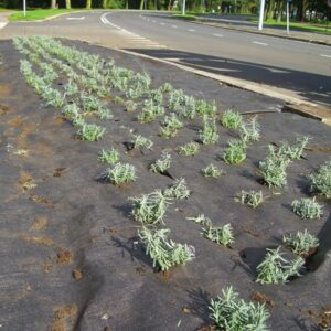 DuPont Plantex Pro 90 g/m² 50 mtr 100cm x 15cm