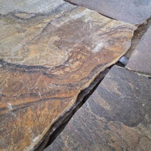 4D968FCD-F24A-41CB-BA60-C55319710460