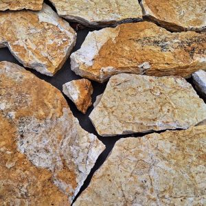 56860118-2F9B-4814-880F-862508EF233A