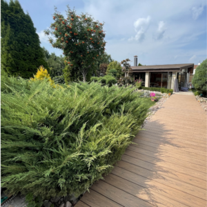 +Garden Composiet WPC Vlonderplank Cedar 300cm