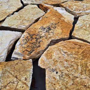 7859EF76-CA01-4581-A801-215AE60D00FB