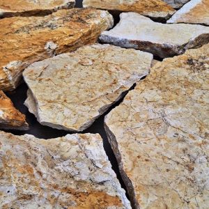 AAF7A4B6-5B04-498C-9FB1-E7A824DFC862