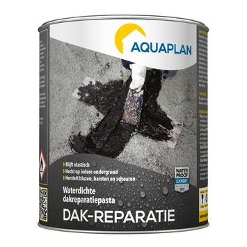 Aquaplan Dak-reparatie