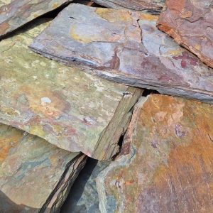 B5D5E971-44A6-44BC-B751-F6981B3EE205