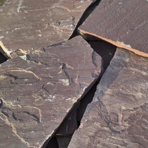 C6AEE797-8753-443D-93DD-8CB899090056