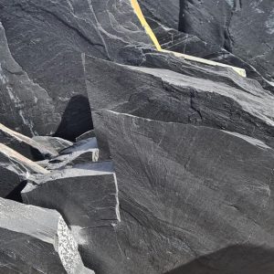 DD31F76E-5181-4852-AD69-F7A651ACF67F