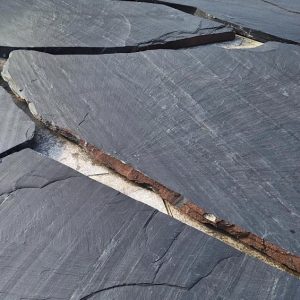 F8C845B6-16BF-4F3C-BAD5-DF4D1C278603