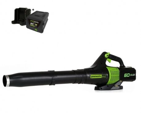 Greenworks Bladblazer 60V GD60ABK4