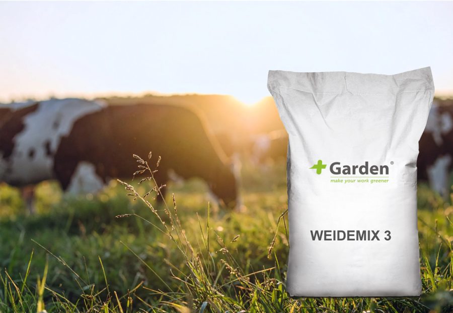 Weidemix graszaad, veeteelt, engels raaigras