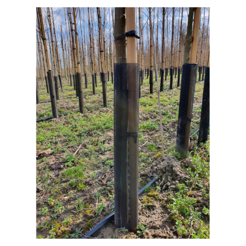 +Garden® Flex Guard Stambeschermer per 10 st.