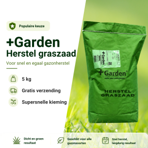 Graszaad feed banners