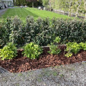 +Garden Franse Boomschors 20-40 800L