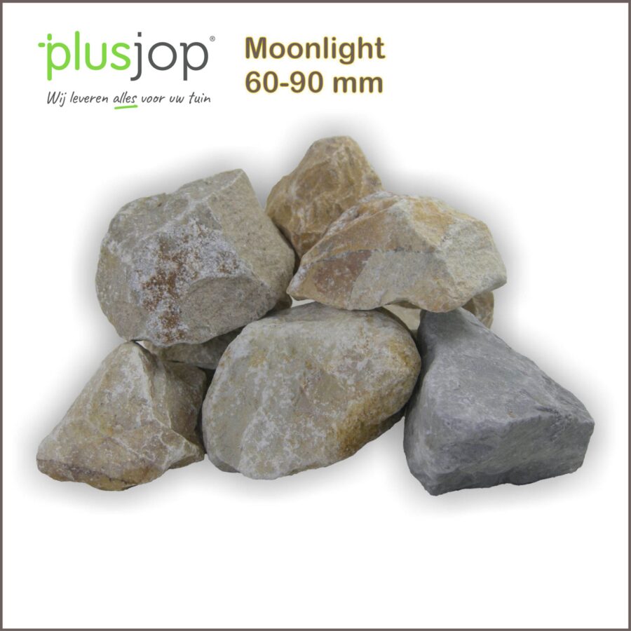 Moonlight brokken
