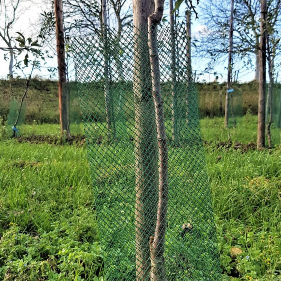 +Garden Boombeschermers, zware kwaliteit, groen (65 gr.) 100stuks