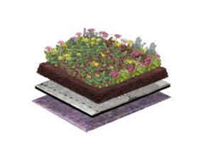 Lichtgewicht sedum kruidendak
