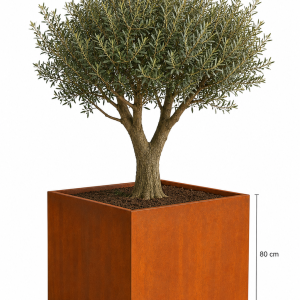 cortenstaal plantenbak 80cm
