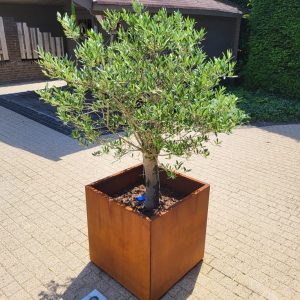 cortenstalen-plantenbak (1)
