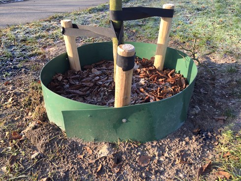 RootBarrier® Gietrand LDPE - Groen