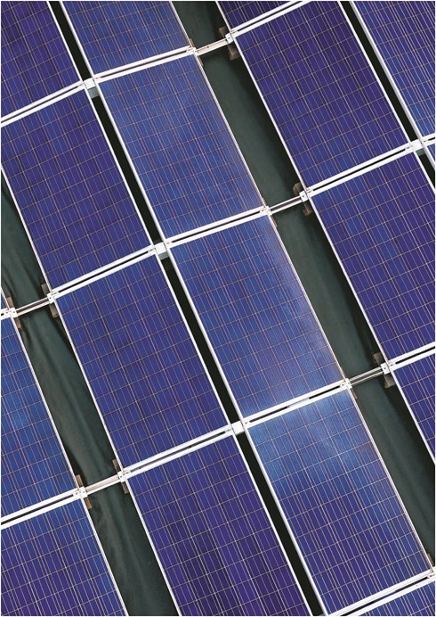 DuPont Plantex Platinium Solar green 50 mtr 250cm x 22cm