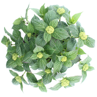 Hortensia teller Forever & Ever Roze