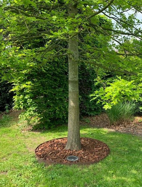 wat zijn de voordelen van een borderrand