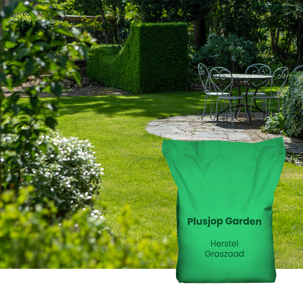 welk graszaad heb ik nodig