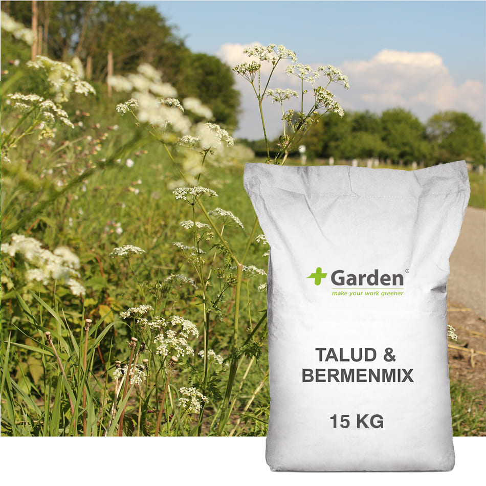 welk graszaad past bij jouw tuin